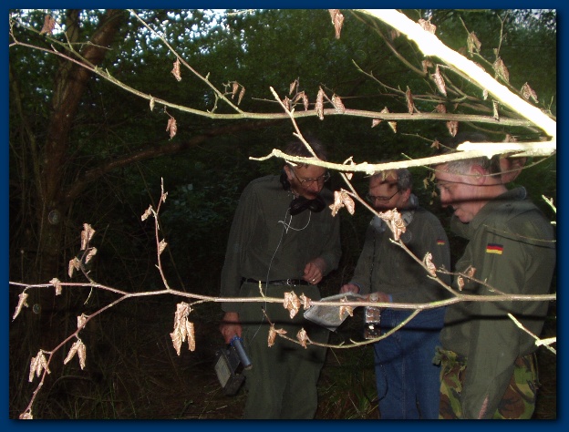 600x449 pixels (135K)